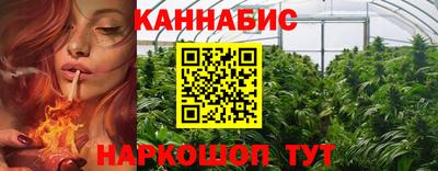 молекула духа Будённовск