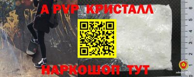 молекула духа Будённовск