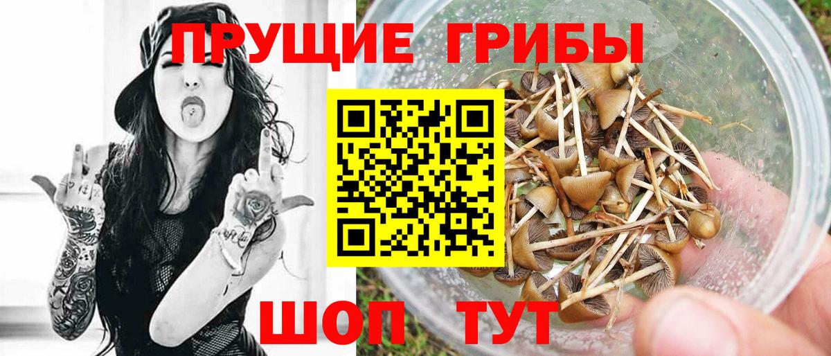 Псилоцибиновые грибы Psilocybine cubensis  Вход с VPN  Славгород  Галлюциногенные грибы Psilocybe 
